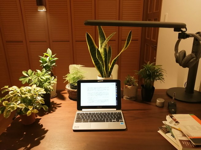 IMG_20200418_212819_078